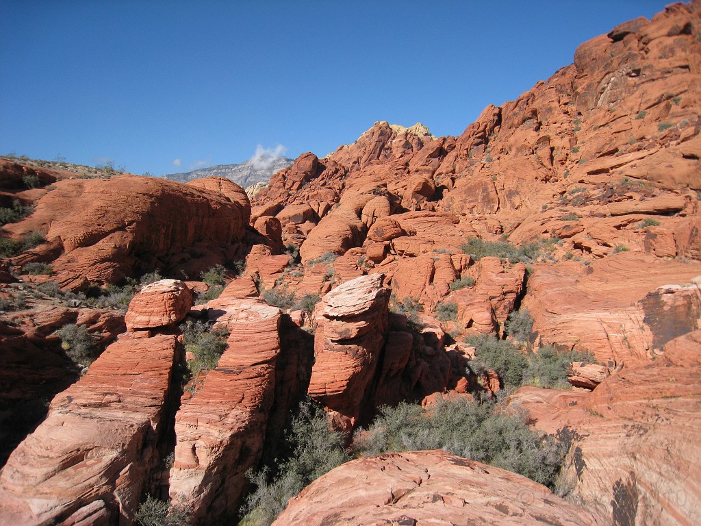 Las Vegas 2010 - Red Rock 0511.JPG - The 2010 Las Vegas Fire - Ice and Sweat Tour. Half Marathon, Red Rock Canyon, Casinos, Valley of Fire.... and buffets!
